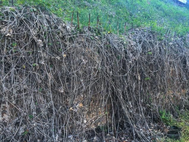 Rusty rebar pokes out of the stone wall, likely indicating where bleachers attached.