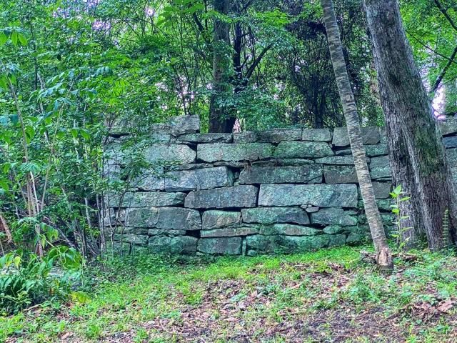 Historians believe this is the remains of the original Mill Brook, for which Millbrook Village took its name.