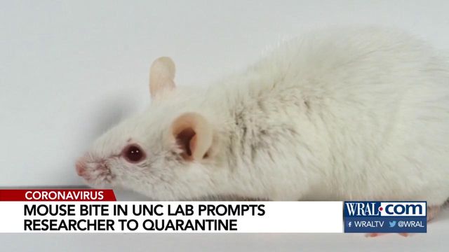 Scientists reverse aging in mice 