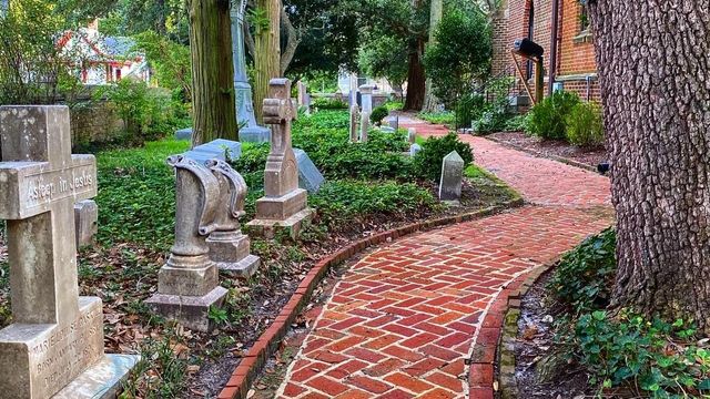 Explore a 150-year-old 'secret garden' in North Carolina