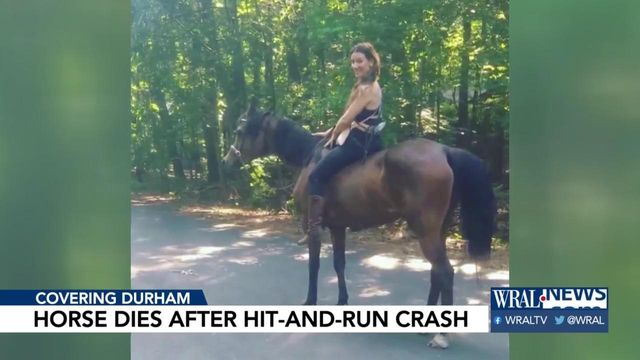 Owner of horse mourns its death in hit-and-run crash