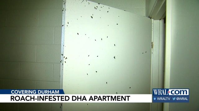 A look inside a roach-infested Durham Housing Authority apartment