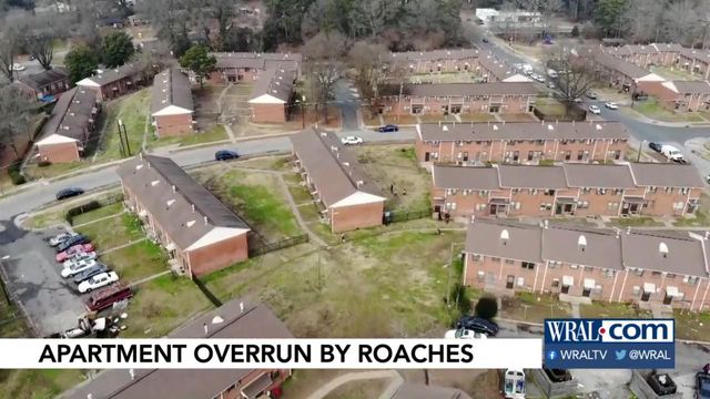 After roach infestation, Durham Housing Authority promises changes in the works