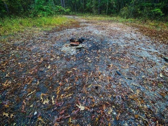 'No human knows:' Devil's Tramping Ground legend predates founding of ...