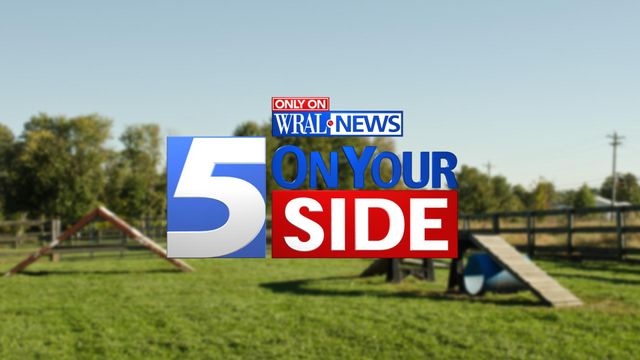 5 On Your Side shares tips for keeping pets safe from parasites at the dog park 