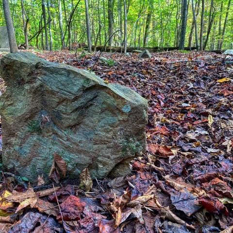 Antique headstones are around Cabelands Cemetery, but only 12 graves have official markers.