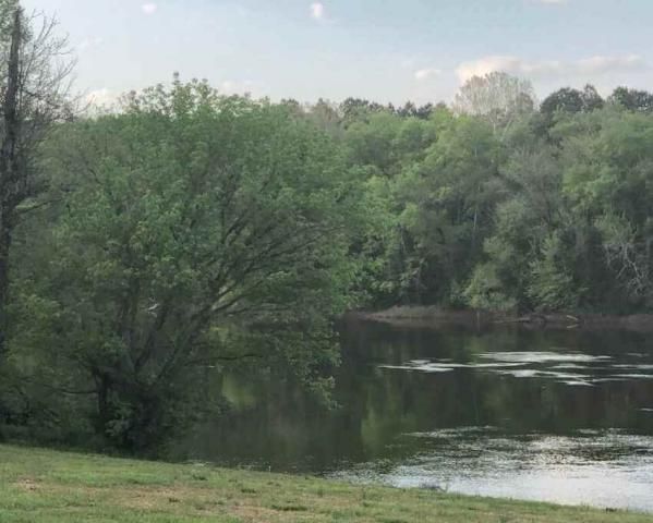 Mermaids in the Cape Fear River of North Carolina, near Mermaid Point.