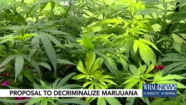 Small panel calls for decriminalizing possessing small amounts of marijuana in NC