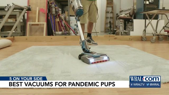 Best vacuums pick up pet hair with fewer passes