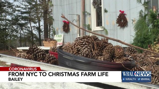 Nash County woman relaunching family Christmas tree farm