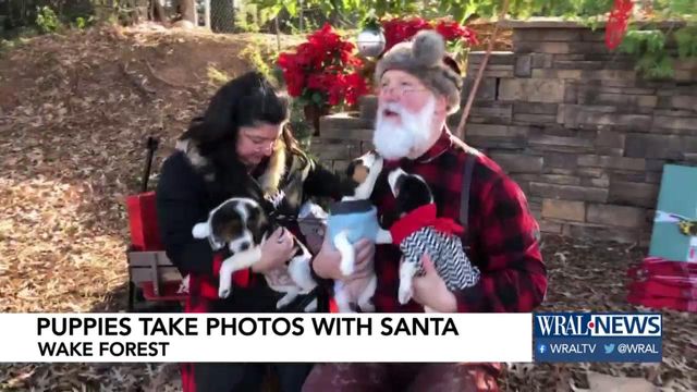 Adorable: Puppies visit with 'Santa Paws' 