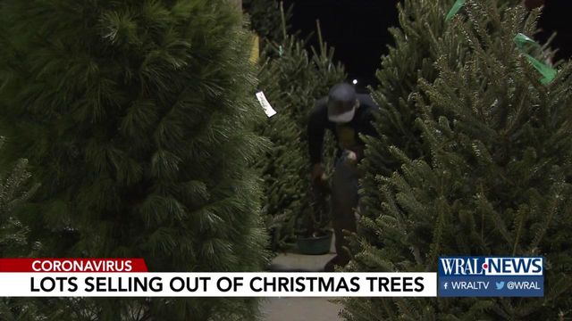 Local Christmas tree farmers seeing shortage in trees 