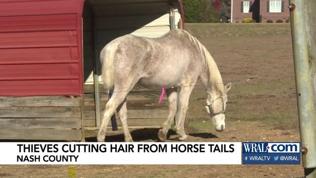 Thieves cut hair from Nash Co. horse