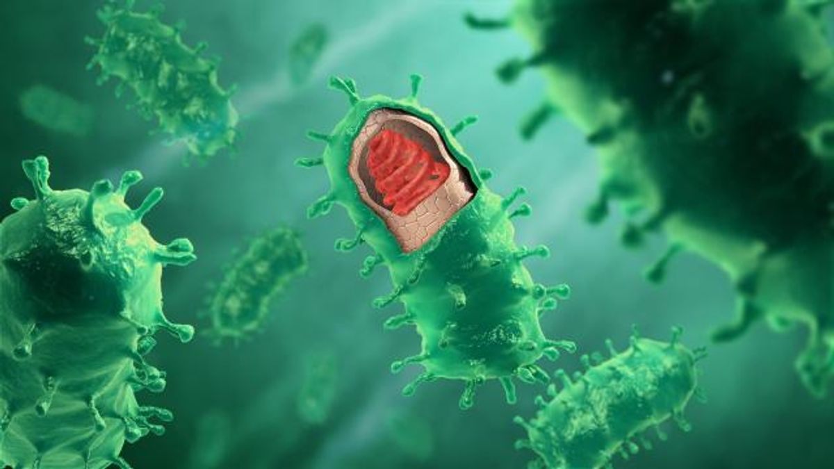 Rabies stock photo from Wikimedia. 