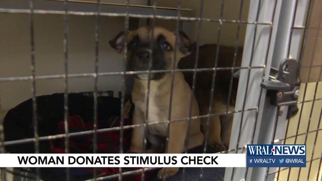 Even with stimulus uncertain, woman donates $600 to animal shelter