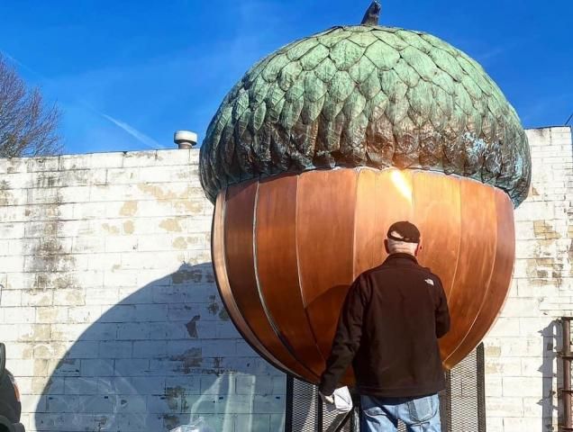 David Benson's giant acorn is nearly 30 years old