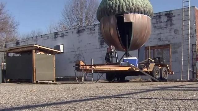 The acorn was damaged in 2018
