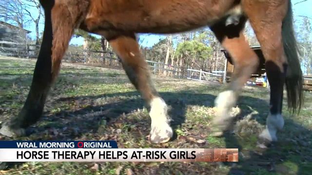 Horse therapy program helps at-risk girls