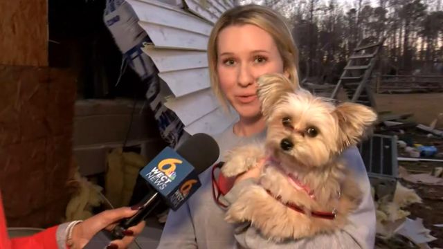 Dog survives EF-3 tornado in Brunswick County