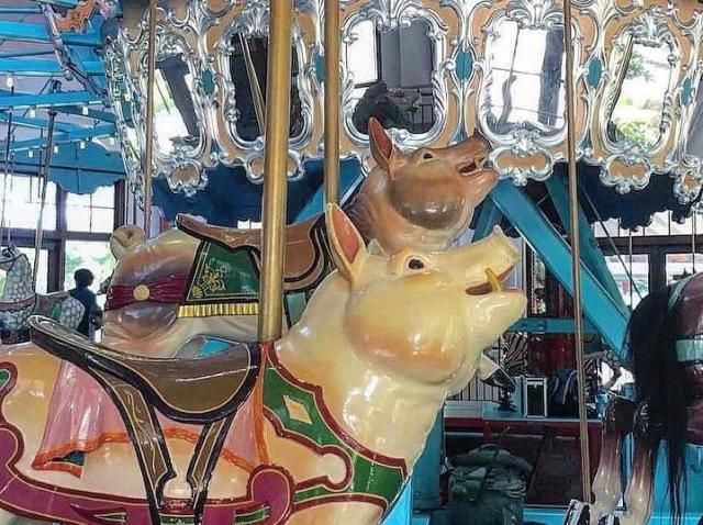 The carousel at Pullen Park was first used in Bloomsbury Park in 1912. When Bloomsbury closed, Pullen bought the treasured carouel, which dates back to around 1900, making it one of the oldest surviving gems from German artist Gustav Dentzel.