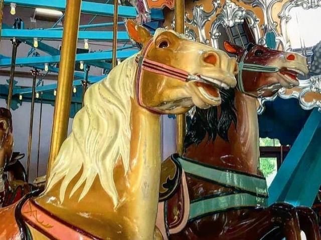The carousel at Pullen Park was first used in Bloomsbury Park in 1912. When Bloomsbury closed, Pullen bought the treasured carouel, which dates back to around 1900, making it one of the oldest surviving gems from German artist Gustav Dentzel.