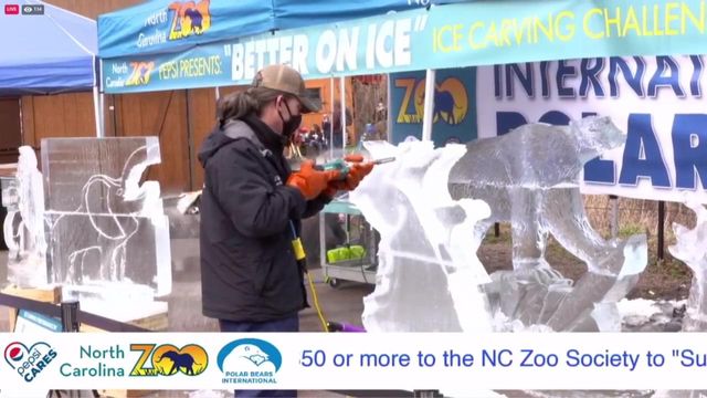 Ice-carving competition at the NC Zoo to celebrate International Polar Bear Day 