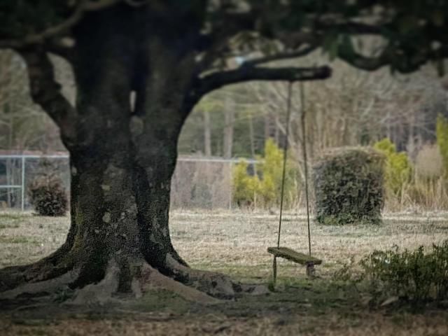 A swing outside the Rosenwald School in Friendship, NC.