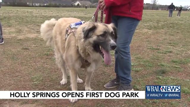 Holly Springs opens new dog park for furry friends 