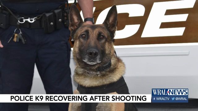 Durham officers open up to WRAL as K-9 dog Daro recovers from shooting