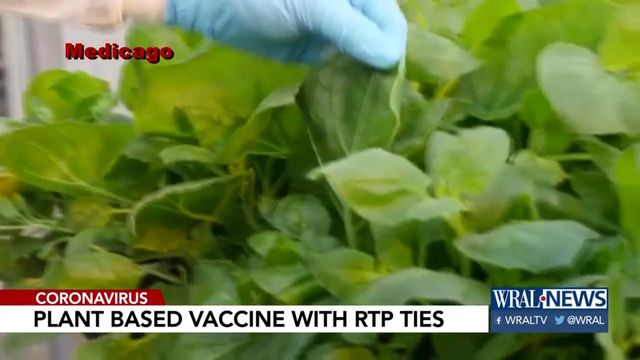 RTP maker seeks volunteers for trials of plant-based vaccine