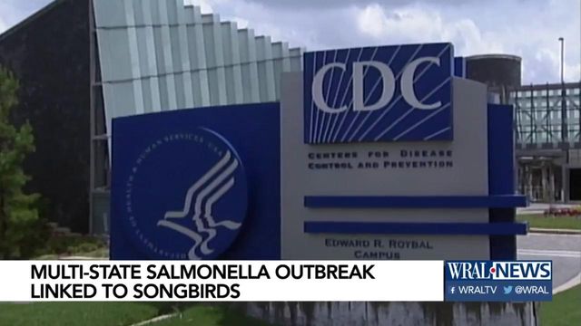 Multi-state salmonella outbreak linked to songbirds 