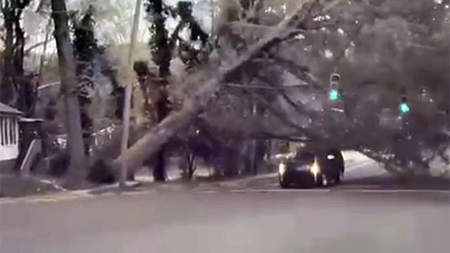 Caught on camera: SUV narrowly dodges falling tree in Durham