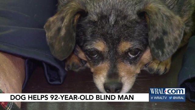 Dog finds fallen 92-year-old, blind man, alerts neighbors 