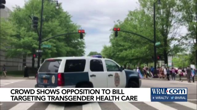 Protesters oppose bill targeting transgender health care