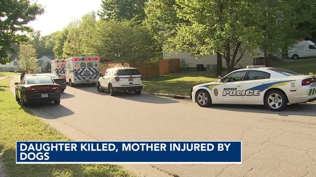 Authorities working to learn more after 7-year-old killed in dog attack
