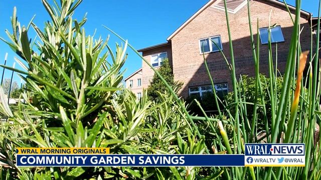 Cary garden serves as 'outdoor classroom' for church, community