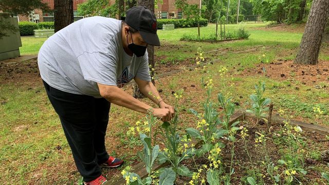 Community gardens provide fresh food to Durham neighborhoods that sometimes lack it