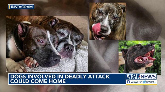 Owners may try to move dangerous dogs to Franklin County