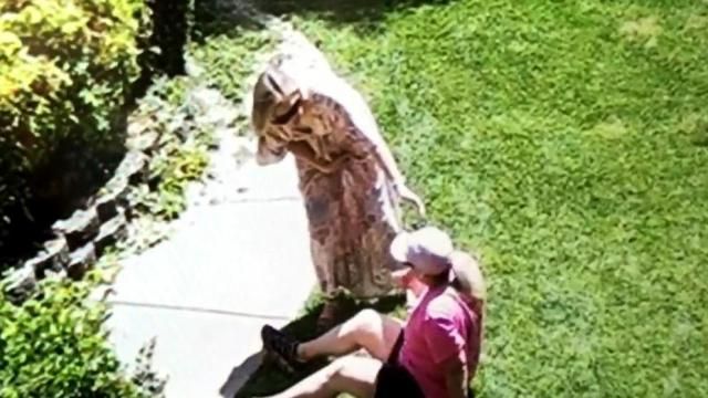 Heatherly Noble's neighbor came to help her after she fell off her ladder. 