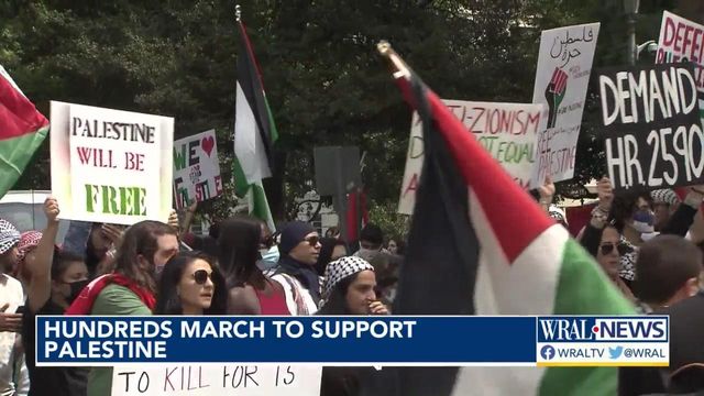 Hundreds march in downtown Raleigh in support of Palestine