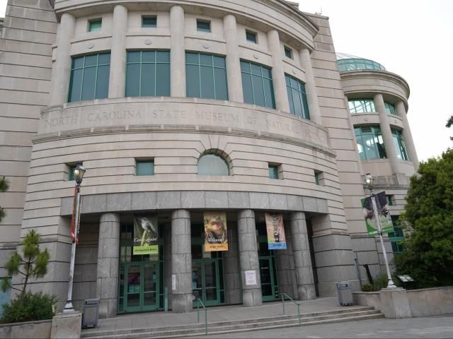 The ultimate guide to the best museums in Raleigh