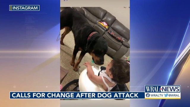 Lawmaker calls for change after fatal dog attack 