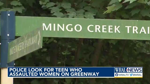 Police search for teen who assaulted women on greenway