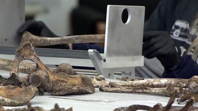 NCSU professor heads team trying to identify human remains