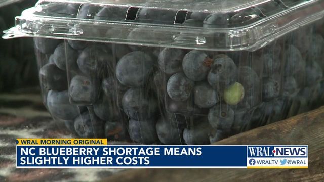 NC blueberry shortage increases prices 