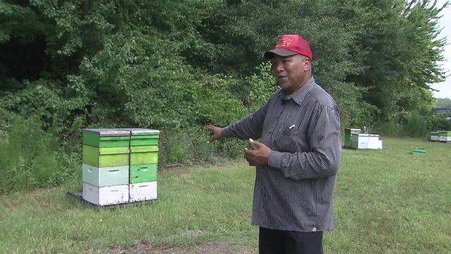 Edgecombe County man raises bees, produces honey, and mentors youth all at once