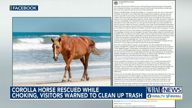Outer Banks wild horse almost dies after nearly choking on trash 