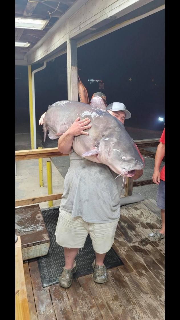 NC man sets new record after catching 127lb catfish