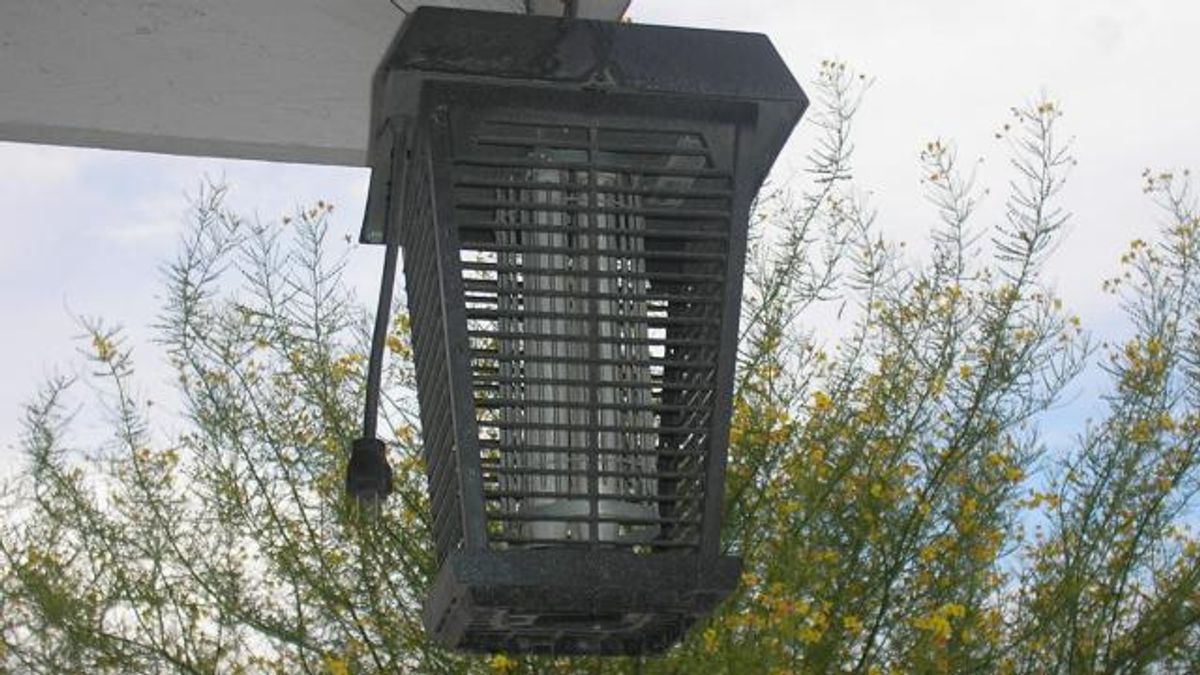 Photo of Bug zapper, taken by ZooFari