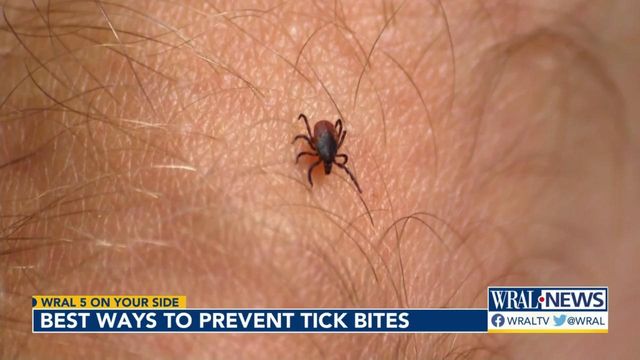 Here are the best way to prevent tick bites this summer